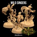 TDTL Aelves Of The Farwood & Order Of The Unicorn Pt 1 17