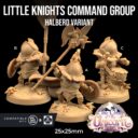 TDTL Aelves Of The Farwood & Order Of The Unicorn Pt 1 40