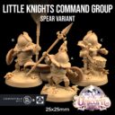 TDTL Aelves Of The Farwood & Order Of The Unicorn Pt 1 41