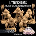 TDTL Aelves Of The Farwood & Order Of The Unicorn Pt 1 43