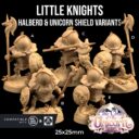 TDTL Aelves Of The Farwood & Order Of The Unicorn Pt 1 44