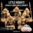 TDTL Aelves Of The Farwood & Order Of The Unicorn Pt 1 45