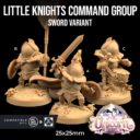TDTL Aelves Of The Farwood & Order Of The Unicorn Pt 1 53