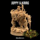 TDTL Aelves Of The Farwood & Order Of The Unicorn Pt 1 6