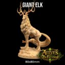 TDTL Aelves Of The Farwood & Order Of The Unicorn Pt 1 8