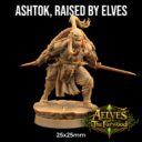 TDTL Aelves Of The Farwood & Order Of The Unicorn Pt 1 9