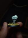 WM Bug Knights 3