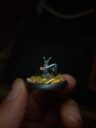 WM Bug Knights 4