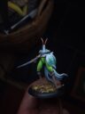 WM Bug Knights Part 2 3