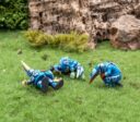 ZS Clash Of Rhyfles Toulmore Wounded
