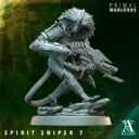 AVG Sandstorm & Primal Warlords 42