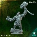 AVG Sandstorm & Primal Warlords 9