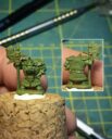 Argatoria Orc Prev