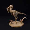 D&D Juni Patreon 6