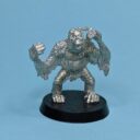SAS Cosmic Pongos 5