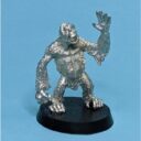 SAS Cosmic Pongos 6