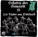 Schatten über Grimstadt III Die Räuber Vom Nebelwald 2