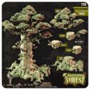TE Ancientwood Forest 2