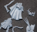 Unboxing Sunspear Eldfall Chronicles 6