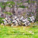 Victrix Medieval Warband 8