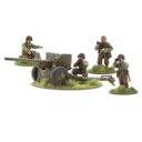 WG Stars And Stripes US Starter Army 5