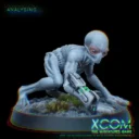 Xom ANALYSING... SECTOID