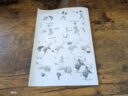 Conquest Para Bellum Weaver Courts Gallowglass Wardens Wyrd Knights Review 22