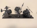Conquest Para Bellum Weaver Courts Gallowglass Wardens Wyrd Knights Review 27