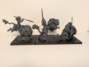 Conquest Para Bellum Weaver Courts Gallowglass Wardens Wyrd Knights Review 28