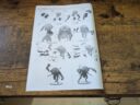 Conquest Para Bellum Weaver Courts Gallowglass Wardens Wyrd Knights Review 6