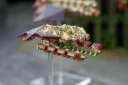 Dropzone Commander Countdown To Drop 05 Bioficers Faction Focus 4