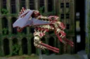 Dropzone Commander Countdown To Drop 05 Bioficers Faction Focus 7