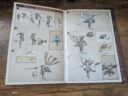 Games Workshop Warhammer Age Of Sigmar Hedonites Of Slaanesh Battleforce Lord Of Hysteria Review 9