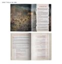 Games Workshop Middle Earth™ Strategy Battle Game The Burning Of The Westfold™ (Englisch) 2
