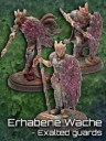 Erhabene Wache